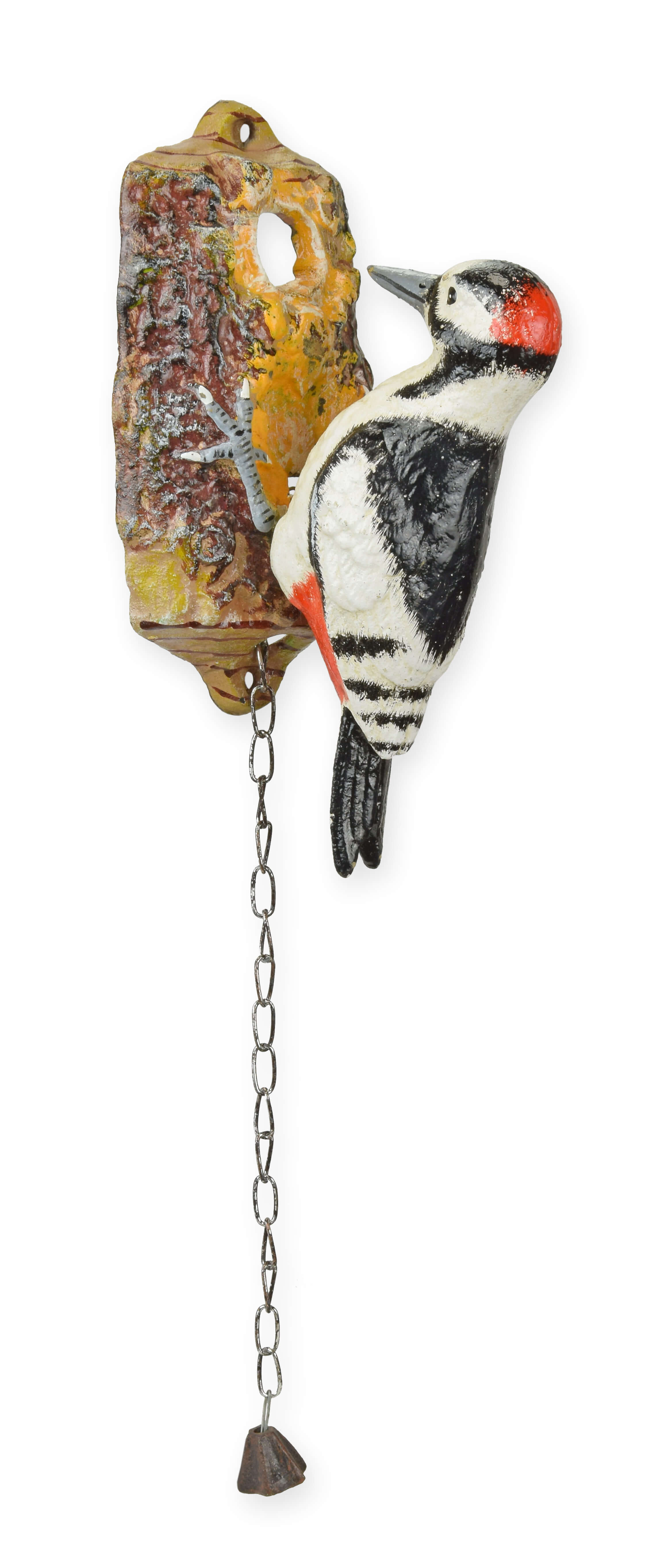Tier, Vogel