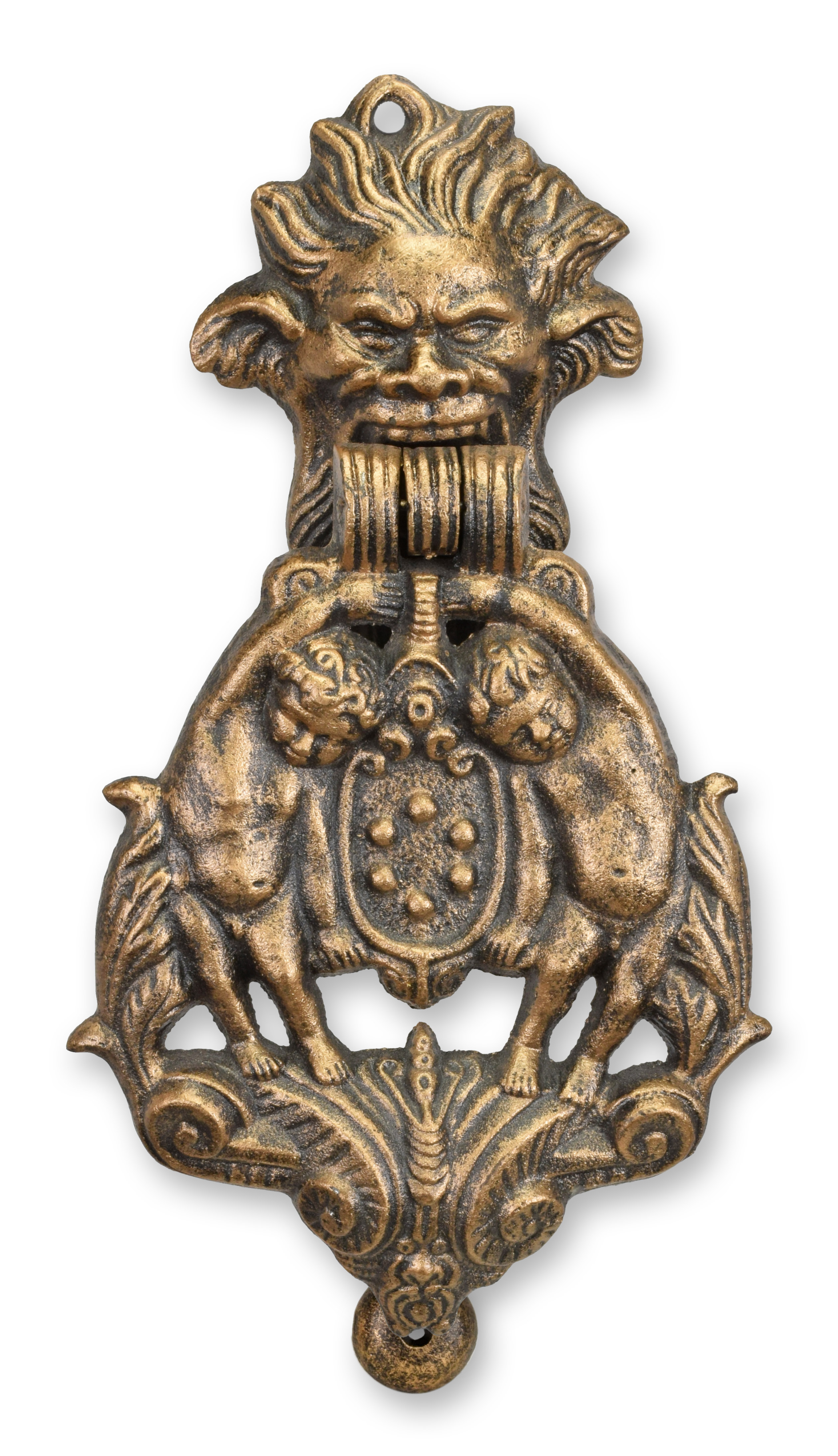 Bronze, Abzeichen, Löwe, Zubehör, Gesicht