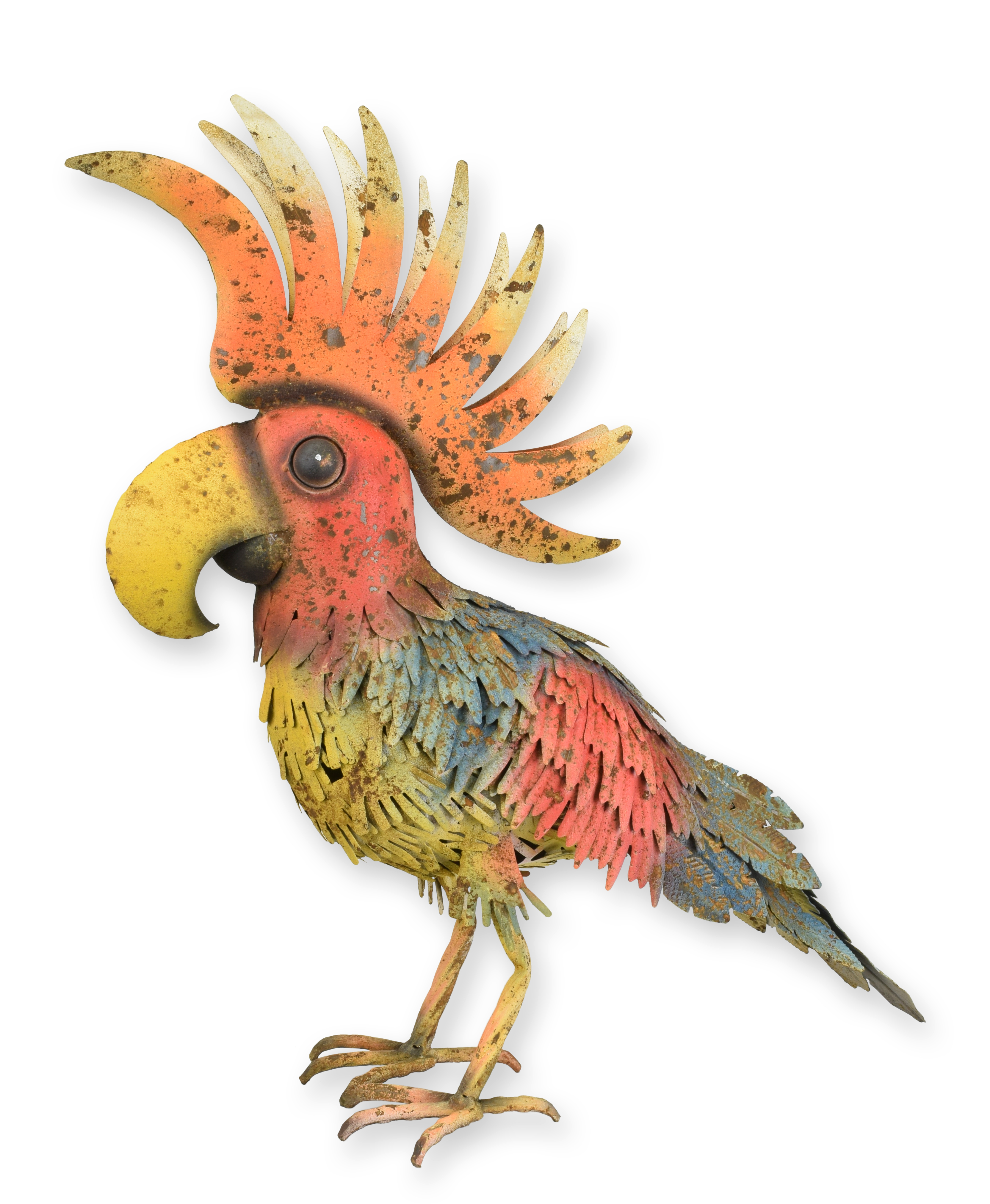 Tier, Vogel, Schnabel