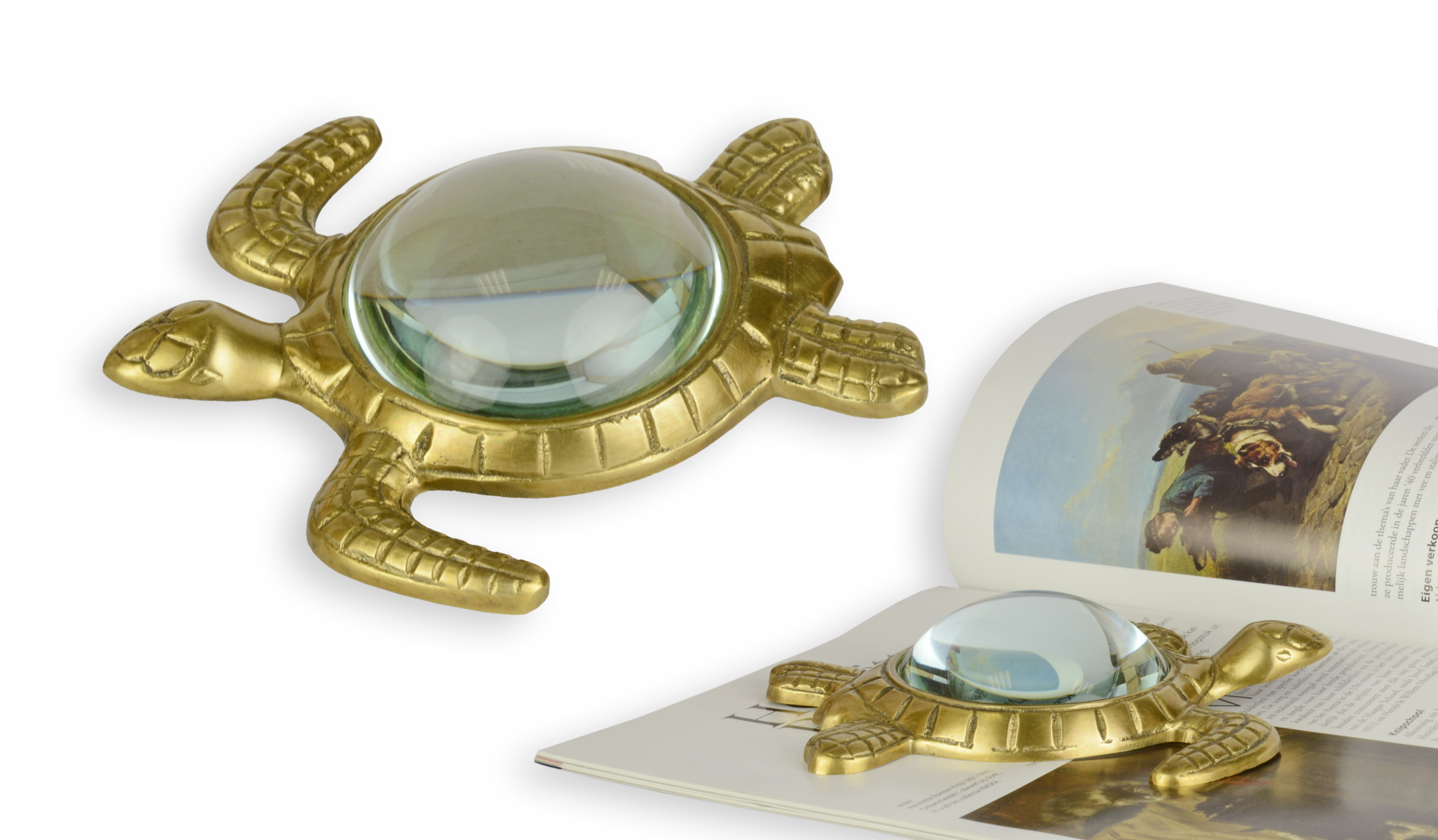 Eine Lupe in Form einer Schildkröte Replikat Retro Design Dekoration