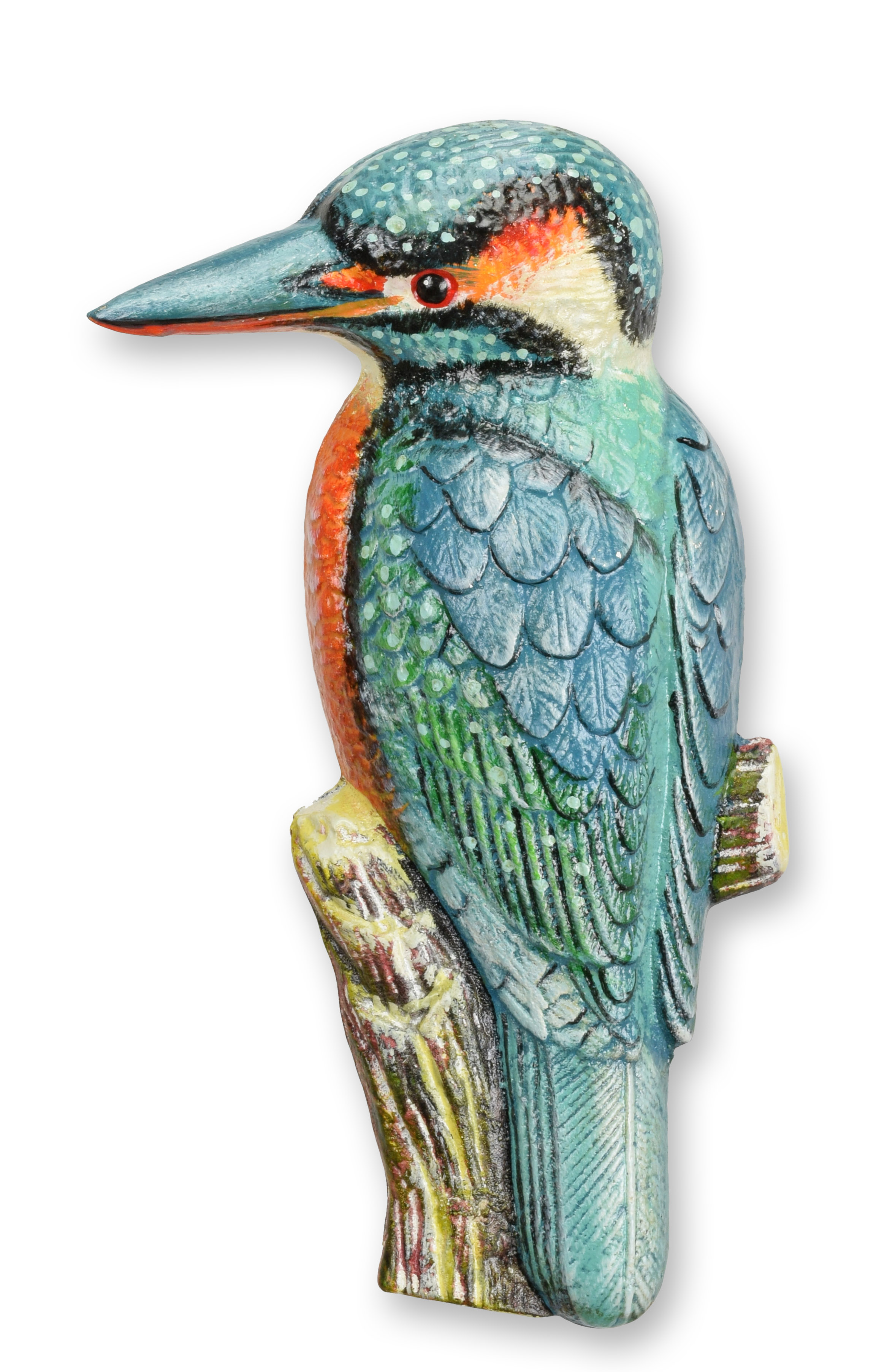 Tier, Schnabel, Vogel, Bienenfresser, Jay