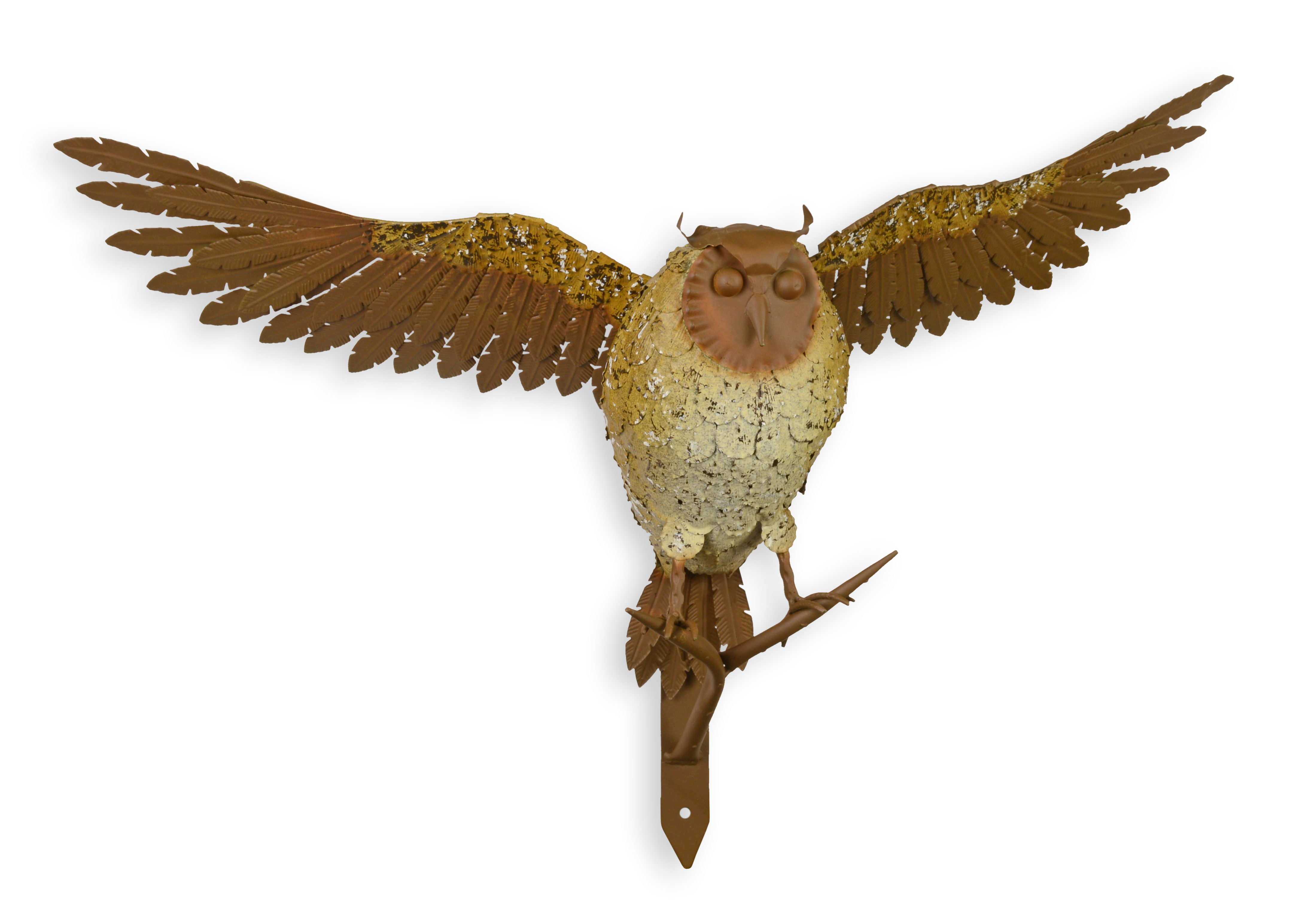 Tier, Vogel, Fliegend, Geier