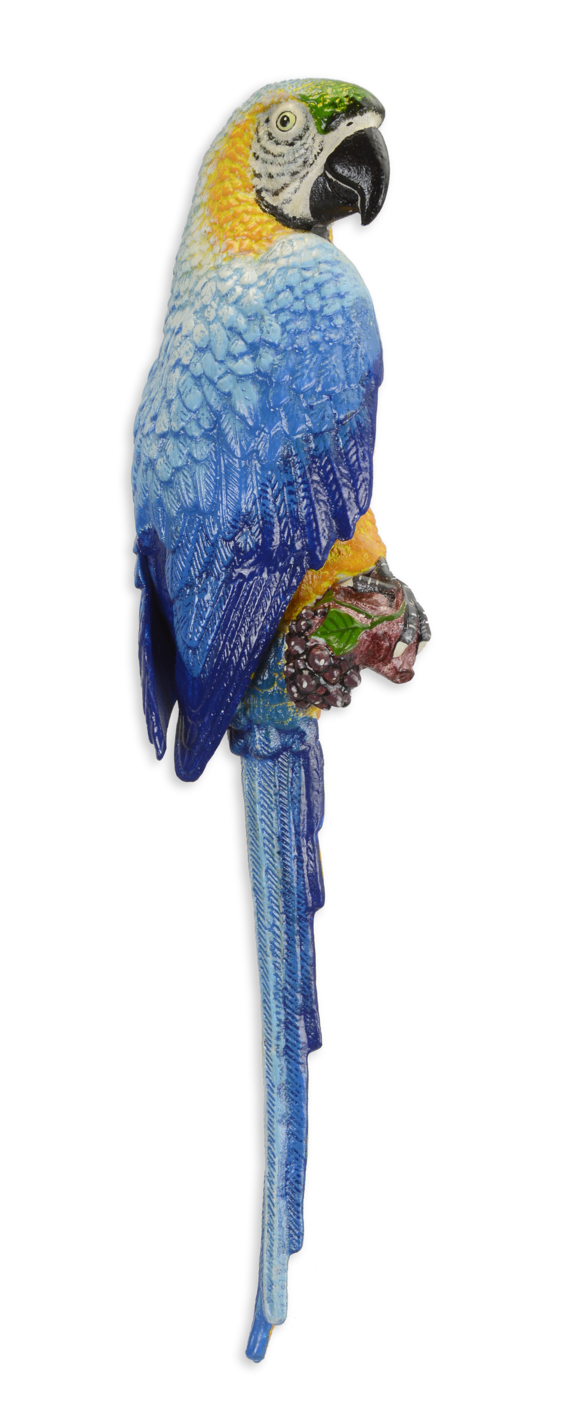 Tier, Vogel, Ara, Papagei